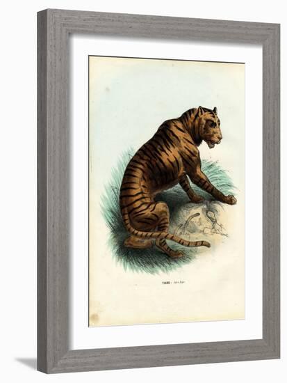 Tiger, 1863-79-Raimundo Petraroja-Framed Giclee Print