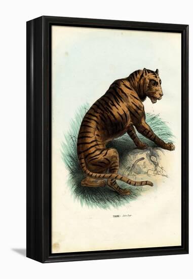 Tiger, 1863-79-Raimundo Petraroja-Framed Premier Image Canvas