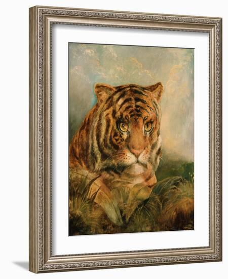 Tiger, 19Th Century-William Huggins-Framed Giclee Print