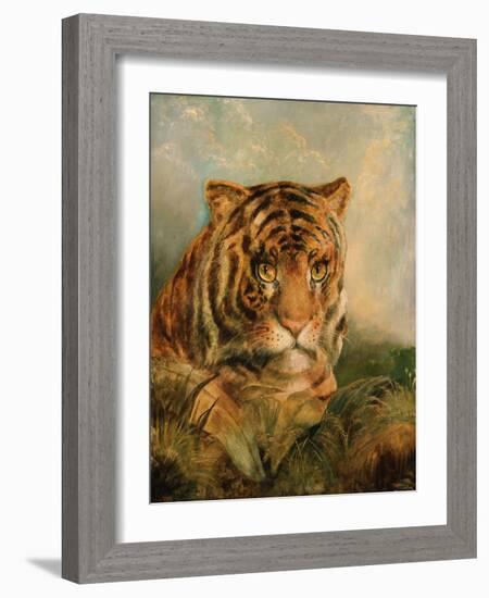 Tiger, 19Th Century-William Huggins-Framed Giclee Print