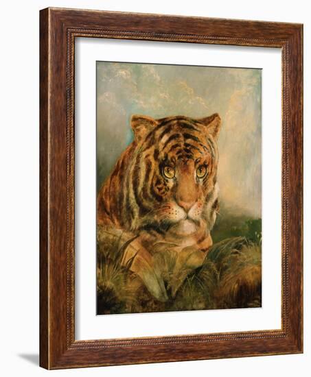 Tiger, 19Th Century-William Huggins-Framed Giclee Print