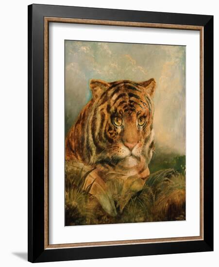 Tiger, 19Th Century-William Huggins-Framed Giclee Print