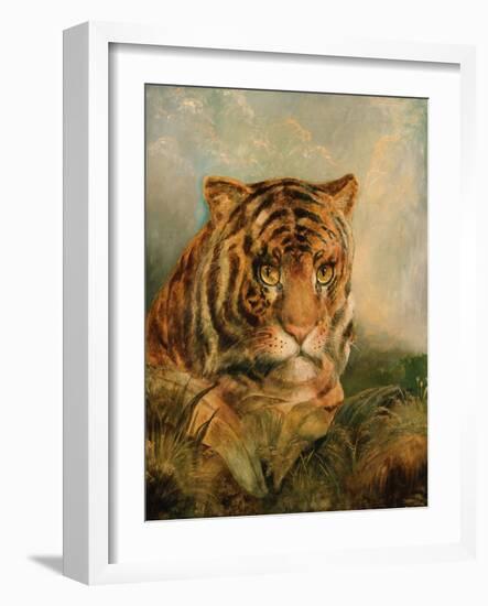 Tiger, 19Th Century-William Huggins-Framed Giclee Print