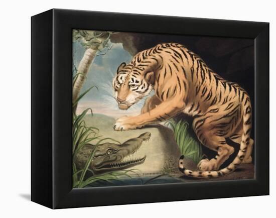 Tiger and Crocodile, Engraved by Charles Turner (1773-1857), Pub. by James Daniell and Co., 1799-James Northcote-Framed Premier Image Canvas