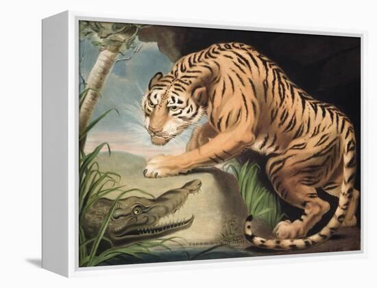 Tiger and Crocodile, Engraved by Charles Turner (1773-1857), Pub. by James Daniell and Co., 1799-James Northcote-Framed Premier Image Canvas