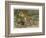 Tiger and Its Freshly Killed Prey a Deer in This Case-Wilhelm Kuhnert-Framed Photographic Print