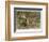 Tiger and Its Freshly Killed Prey a Deer in This Case-Wilhelm Kuhnert-Framed Photographic Print