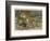 Tiger and Its Freshly Killed Prey a Deer in This Case-Wilhelm Kuhnert-Framed Photographic Print