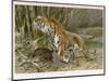 Tiger and Its Freshly Killed Prey a Deer in This Case-Wilhelm Kuhnert-Mounted Photographic Print
