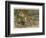 Tiger and Its Freshly Killed Prey a Deer in This Case-Wilhelm Kuhnert-Framed Photographic Print