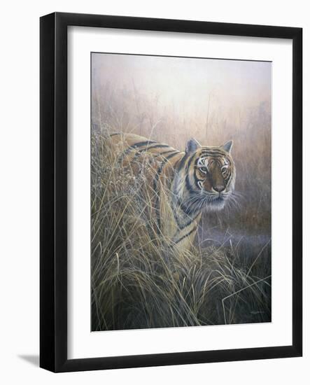 Tiger at Dawn-Jeremy Paul-Framed Giclee Print