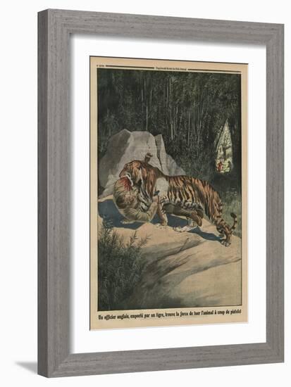 Tiger Attacking a British Officer, Back Cover Illustration from 'Le Petit Journal'-French-Framed Giclee Print