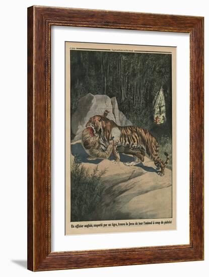 Tiger Attacking a British Officer, Back Cover Illustration from 'Le Petit Journal'-French-Framed Giclee Print