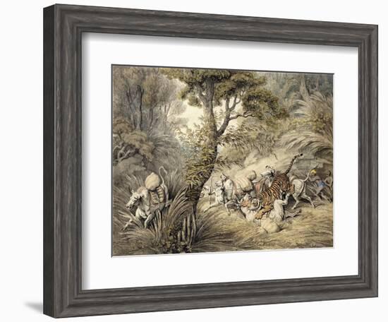 Tiger Attacking a Cattle Train-Samuel Howitt-Framed Giclee Print