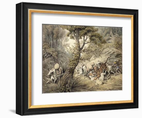 Tiger Attacking a Cattle Train-Samuel Howitt-Framed Giclee Print