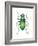 Tiger Beetle Adult (Cicindelidae), Insects-Encyclopaedia Britannica-Framed Art Print