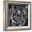 Tiger Black And White-Jace Grey-Framed Art Print