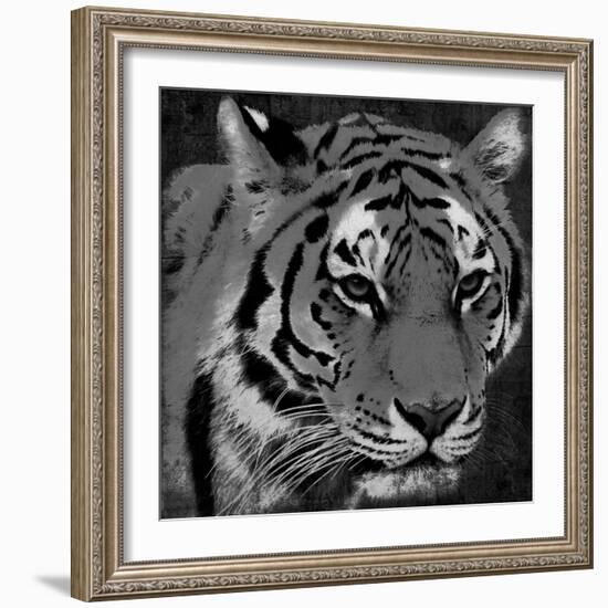 Tiger Black And White-Jace Grey-Framed Art Print