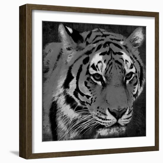 Tiger Black And White-Jace Grey-Framed Art Print