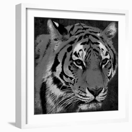 Tiger Black And White-Jace Grey-Framed Art Print