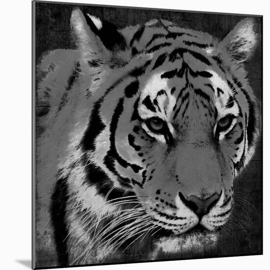 Tiger Black And White-Jace Grey-Mounted Art Print