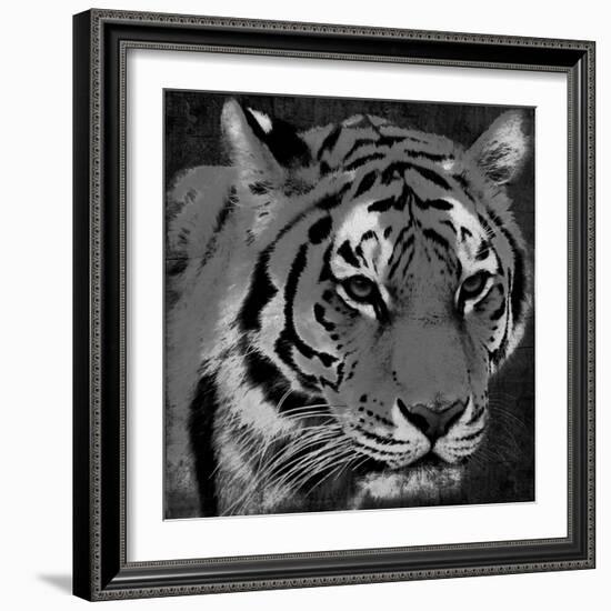 Tiger Black And White-Jace Grey-Framed Art Print