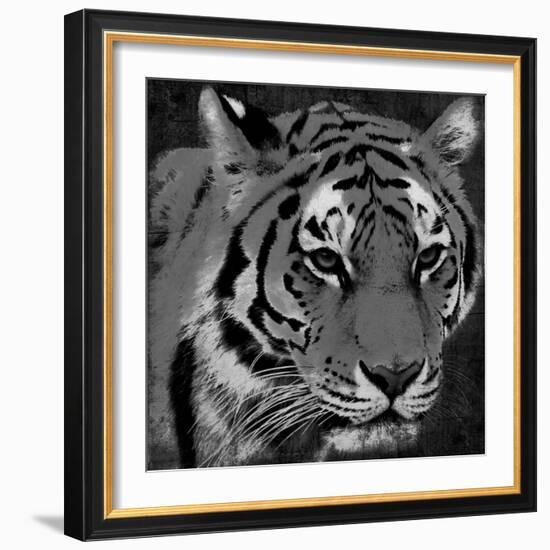 Tiger Black And White-Jace Grey-Framed Art Print