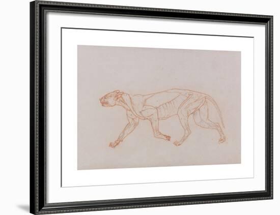 Tiger Body, Lateral View-George Stubbs-Framed Premium Giclee Print