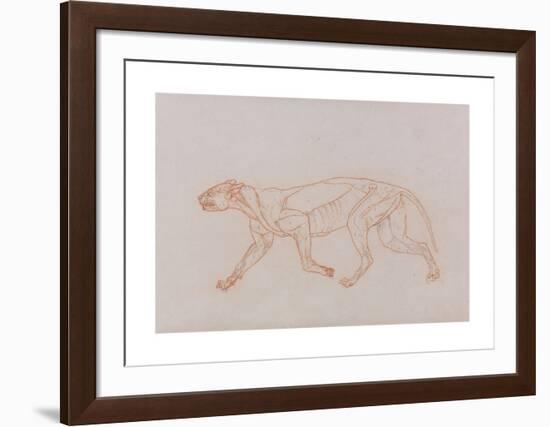 Tiger Body, Lateral View-George Stubbs-Framed Premium Giclee Print
