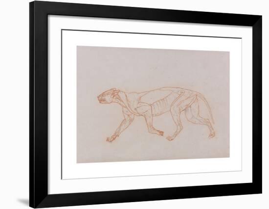Tiger Body, Lateral View-George Stubbs-Framed Premium Giclee Print