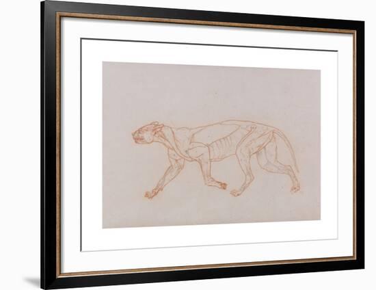 Tiger Body, Lateral View-George Stubbs-Framed Premium Giclee Print