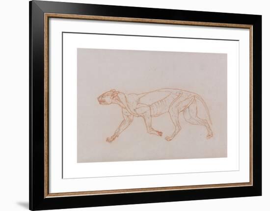 Tiger Body, Lateral View-George Stubbs-Framed Premium Giclee Print