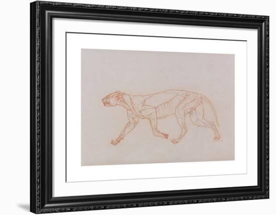 Tiger Body, Lateral View-George Stubbs-Framed Premium Giclee Print