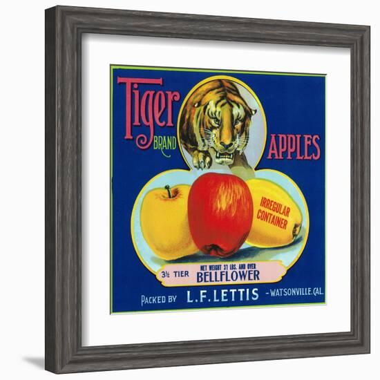 Tiger Brand Apple Label, Watsonville, California-Lantern Press-Framed Art Print