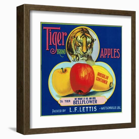 Tiger Brand Apple Label, Watsonville, California-Lantern Press-Framed Art Print