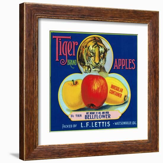 Tiger Brand Apple Label, Watsonville, California-Lantern Press-Framed Art Print