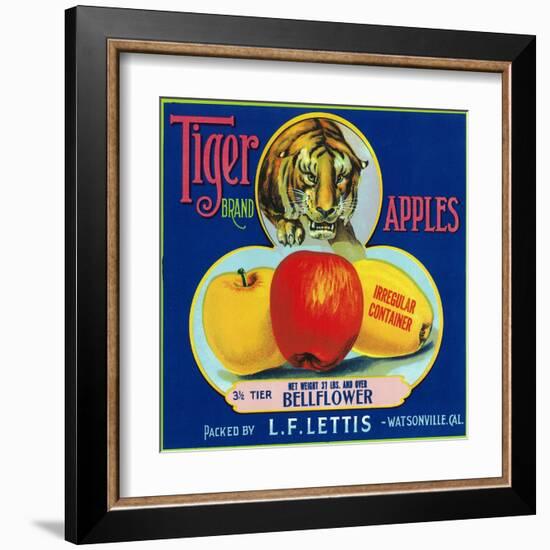 Tiger Brand Apple Label, Watsonville, California-Lantern Press-Framed Art Print