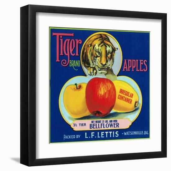 Tiger Brand Apple Label, Watsonville, California-Lantern Press-Framed Art Print