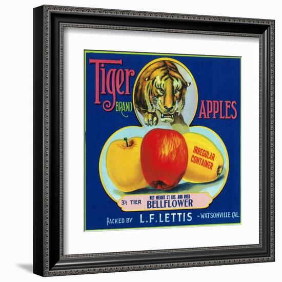 Tiger Brand Apple Label, Watsonville, California-Lantern Press-Framed Art Print