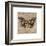 Tiger Butterfly-Jennifer Brice-Framed Giclee Print