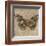 Tiger Butterfly-Jennifer Brice-Framed Giclee Print