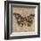 Tiger Butterfly-Jennifer Brice-Framed Giclee Print