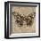 Tiger Butterfly-Jennifer Brice-Framed Giclee Print