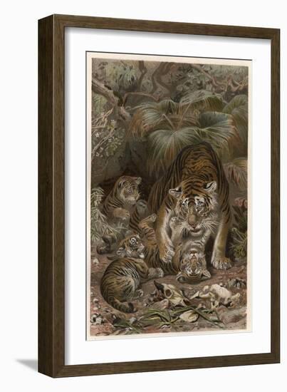 Tiger by Alfred Edmund Brehm-Stefano Bianchetti-Framed Giclee Print