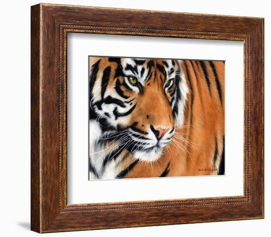 Tiger Crop-Sarah Stribbling-Framed Art Print