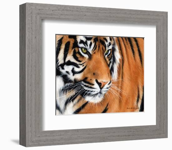 Tiger Crop-Sarah Stribbling-Framed Art Print