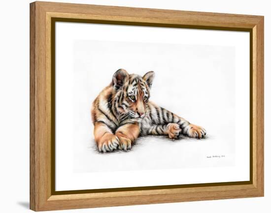 Tiger Cub Colour Pencil Drawing-Sarah Stribbling-Framed Stretched Canvas