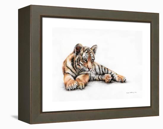 Tiger Cub Colour Pencil Drawing-Sarah Stribbling-Framed Stretched Canvas