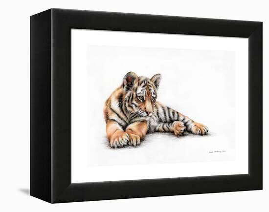 Tiger Cub Colour Pencil Drawing-Sarah Stribbling-Framed Stretched Canvas