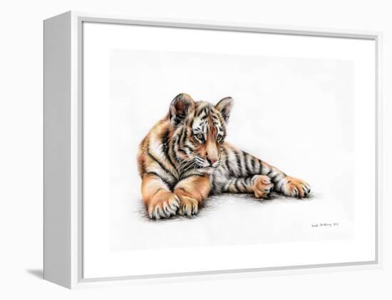 Tiger Cub Colour Pencil Drawing-Sarah Stribbling-Framed Stretched Canvas